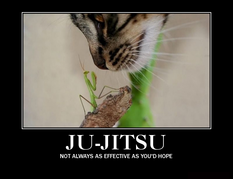 ju_jitsu.jpg